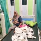 Keracunan massal di Cianjur