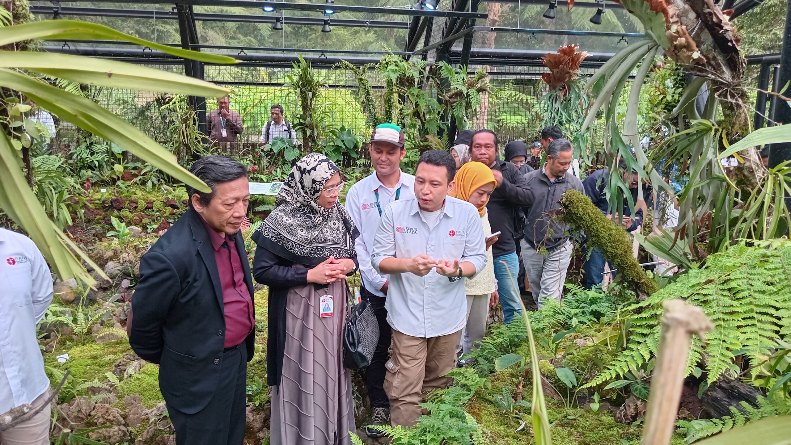 Kebun Raya Cibodas Miliki Koleksi Nepenthes Langka