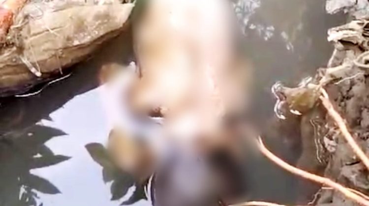 Penemuan Bayi Laki-laki Gemparkan Warga Cibakung, Cianjur