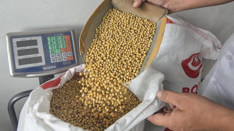 Harga Kedelai Impor Cianjur Melonjak Imbas Kebijakan