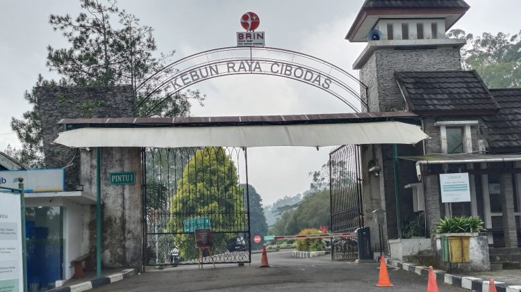 Kebun Raya Cibodas Alami Peningkatan Pengunjung Signifikan