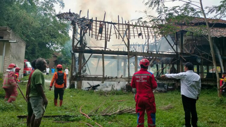 Ribuan Ayam Mati Terpanggang dalam Kebakaran Peternakan Sukaluyu