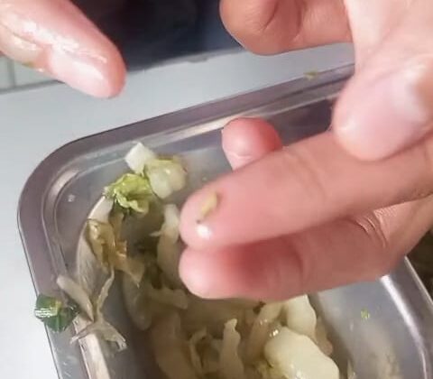 Seekor ulat belatung ditemukan pada salahsatu menu MBG di Kecamatan Cipanas. (Foto : tangkapan layar).