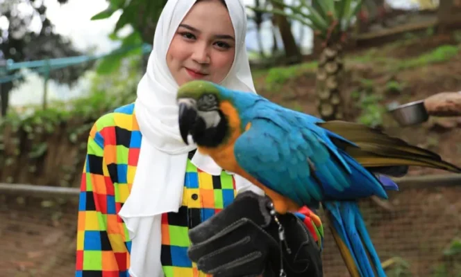 
					Interaksi dan Edukasi! Pojok Satwa Sevillage Hadir, Jadi Wahana Baru Favorit Keluarga!