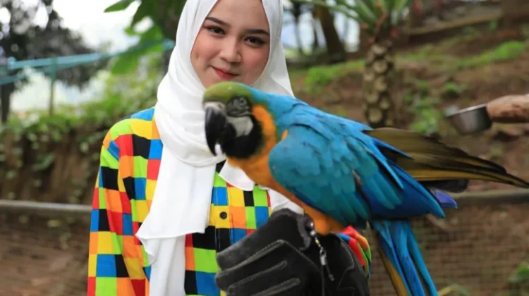 Interaksi dan Edukasi! Pojok Satwa Sevillage Hadir, Jadi Wahana Baru Favorit Keluarga!