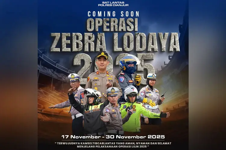 operasi zebra
