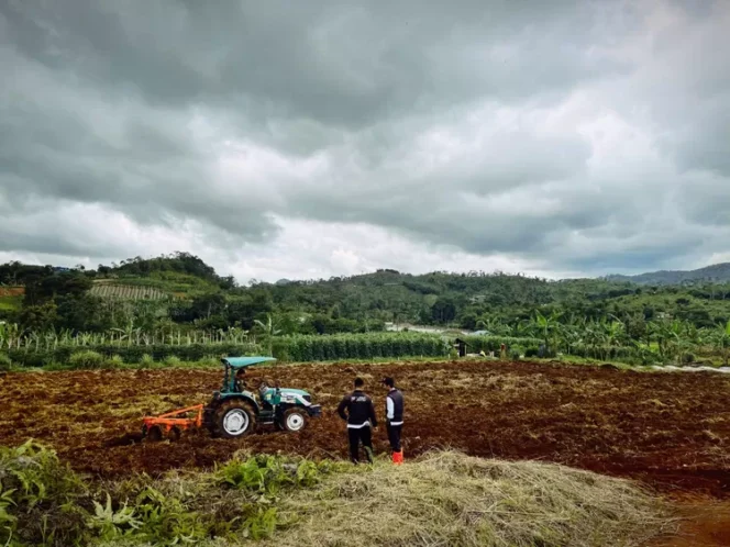 
					Cegah Alih Fungsi Lahan Pertanian Cianjur, Pemkab Hentikan Izin Perumahan Baru