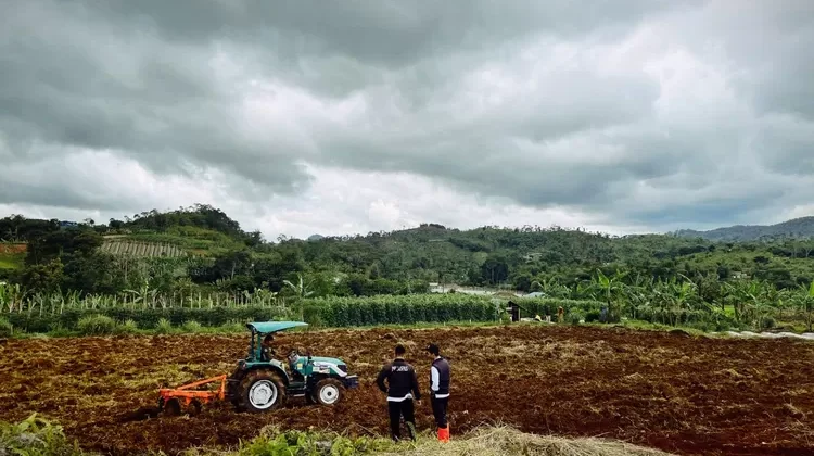 Cegah Alih Fungsi Lahan Pertanian Cianjur, Pemkab Hentikan Izin Perumahan Baru