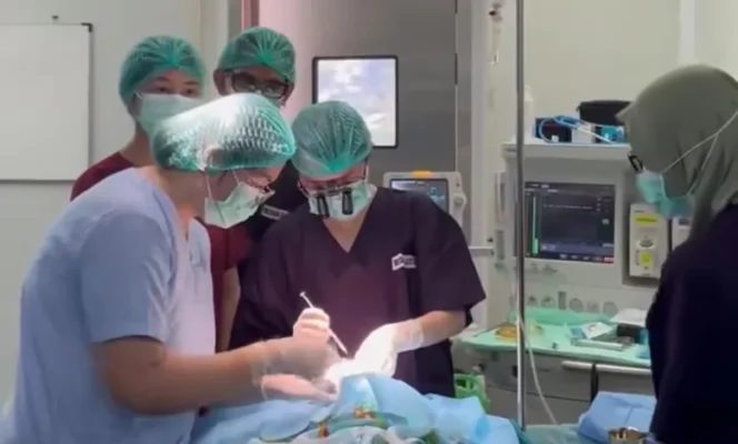 
					Inovasi MACITOS: Layanan Hemodialisa RSUD Cimacan Siaga 24 Jam Percepat Operasi Pasien Cuci Darah