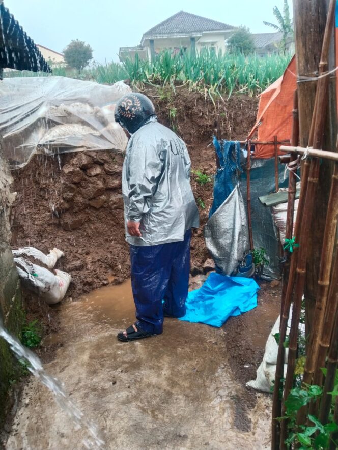 
					Tebing Perkebunan Ambrol, Longsor di Cipanas Timbun Rumah dan Akses Jalan