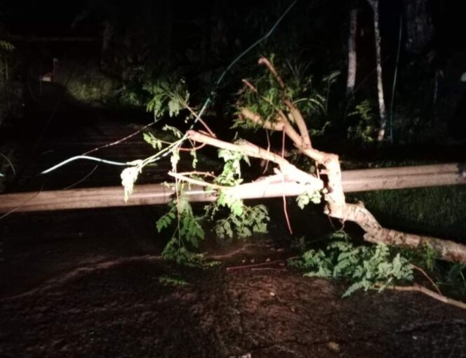 
					Akibat Cuaca Ekstrem, beberapa fasilitas listrik milik PLN terganggu oleh pohon tumbang. Hal ini yang menyebabkan gangguan listrik di Kecamatan Tanggeung. (Foto : PLN)