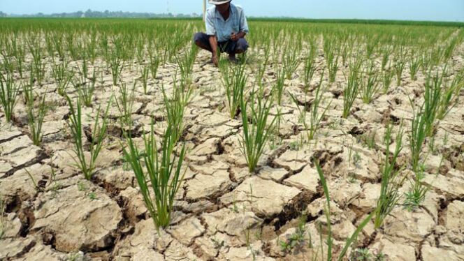 
					BMKG Prediksi Musim Kemarau 2026 Datang Lebih Cepat, El Nino Berpotensi Muncul