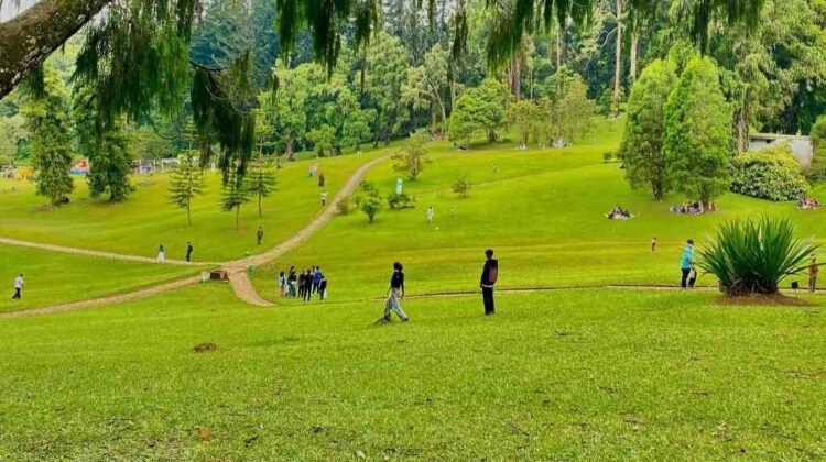 Penghapusan Tiket Ganda Dongkrak Kunjungan Wisatawan ke Kawasan Wisata Cibodas Hingga Dua Kali Lipat