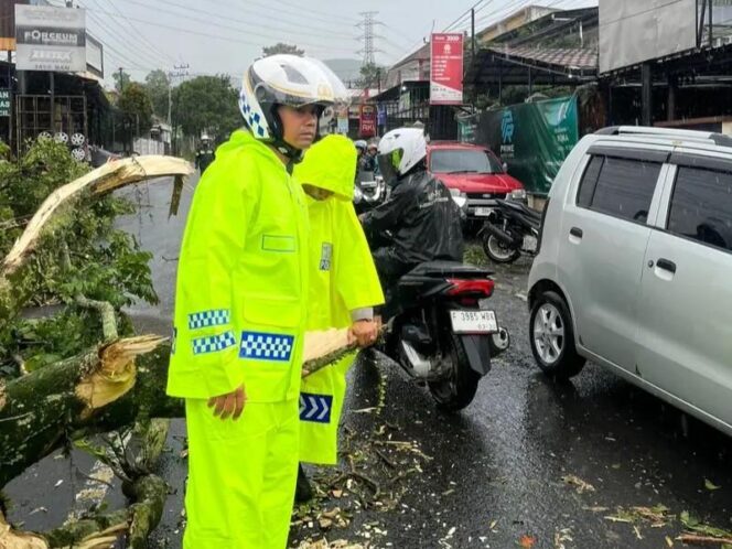 
					Jalur Puncak–Cianjur Kembali Normal, Usa Pohon Tumbang di Cugenang yang Tewaskan Seorang Pengendara