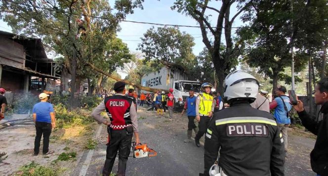 
					Kontainer Tabrak Pohon di Jalan Raya Bandung-Cianjur, Arus Lalu Lintas Lumpuh 1,5 Jam