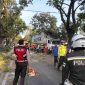Kontainer tabrak pohon