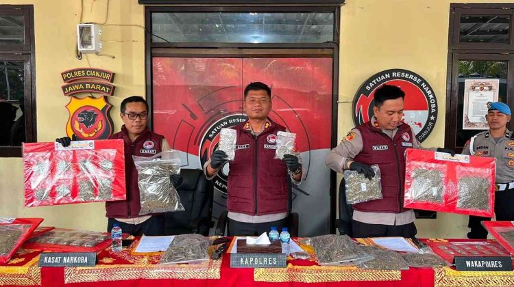Satresnarkoba Polres Cianjur Gagalkan Peredaran 14,8 Kilogram Ganja, Dua Tersangka Ditangkap