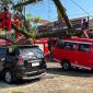 pohon tumbang di cianjur