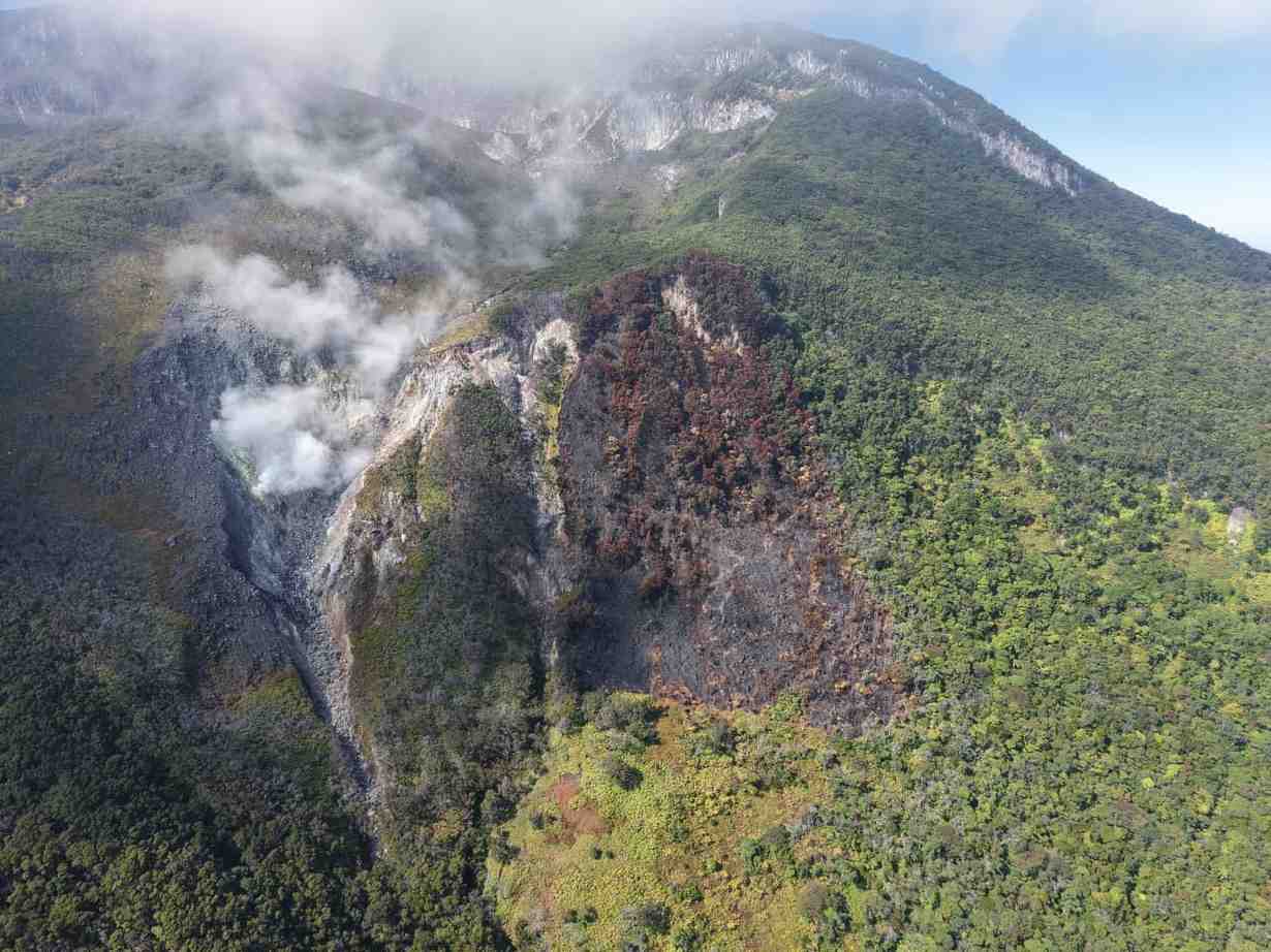Kebakaran Gunung