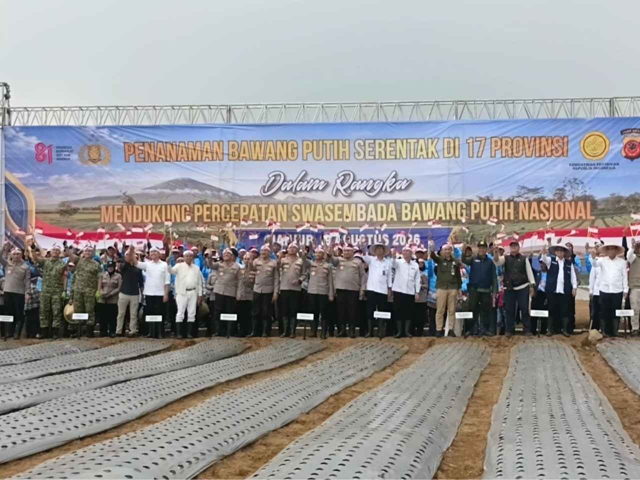 Bawang putih cianjur