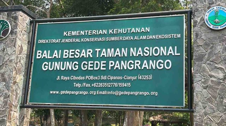 Pasca Kebakaran, Penutupan Pendakian Gunung Gede Pangrango Diperpanjang hingga 31 Agustus 2026