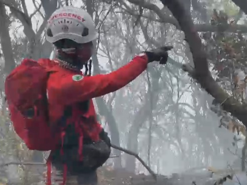 kebakaran gunung gede