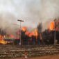 lahan terbakar